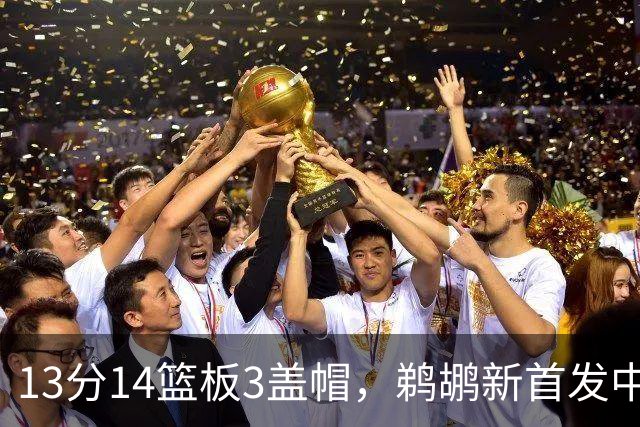 13分14篮板3盖帽，鹈鹕新首发中锋首秀交出两双